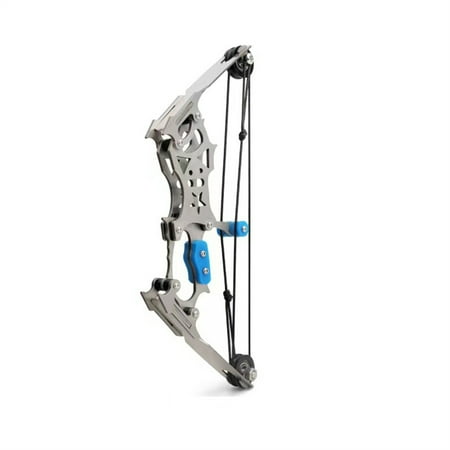 Mini Stainless Steel Compound Bow with 12 Arrows