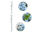 thumbnail image 2 of Justoyou 2 piezas de 5.7 pies de flores artificiales de cerezo Sakura para colgar enredaderas, 2 of 5
