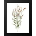 thumbnail image 2 of Swatland, Sally 12x14 Black Modern Framed Museum Art Print Titled - Dainty Botanical II, 2 of 5