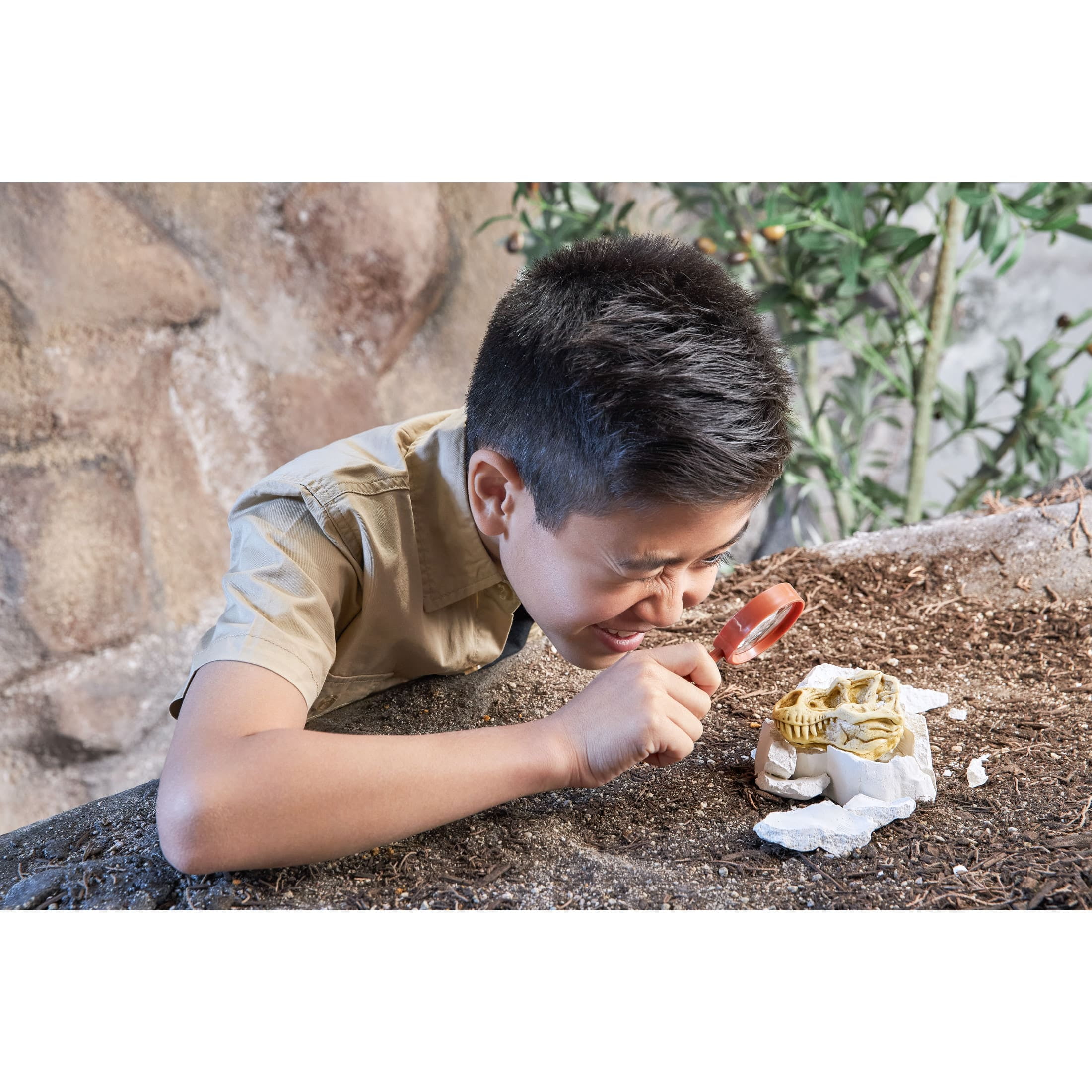 Robo Alive Mega-Dino Fossil Find by ZURU Boys 4-8 Dig and Discover - T-rex and Brontosaurs - STEM -Excavate Prehistoric Fossils, Educational Toys, Great Science Kit Gift for Girls and Boys