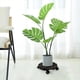 thumbnail image 3 of Soporte de Rodillo para Plantas con Ruedas Giratorias Bloqueables de 360°, Bandeja de Madera para Macetas, Base para Plantas de Fácil Montaje, 3 of 5