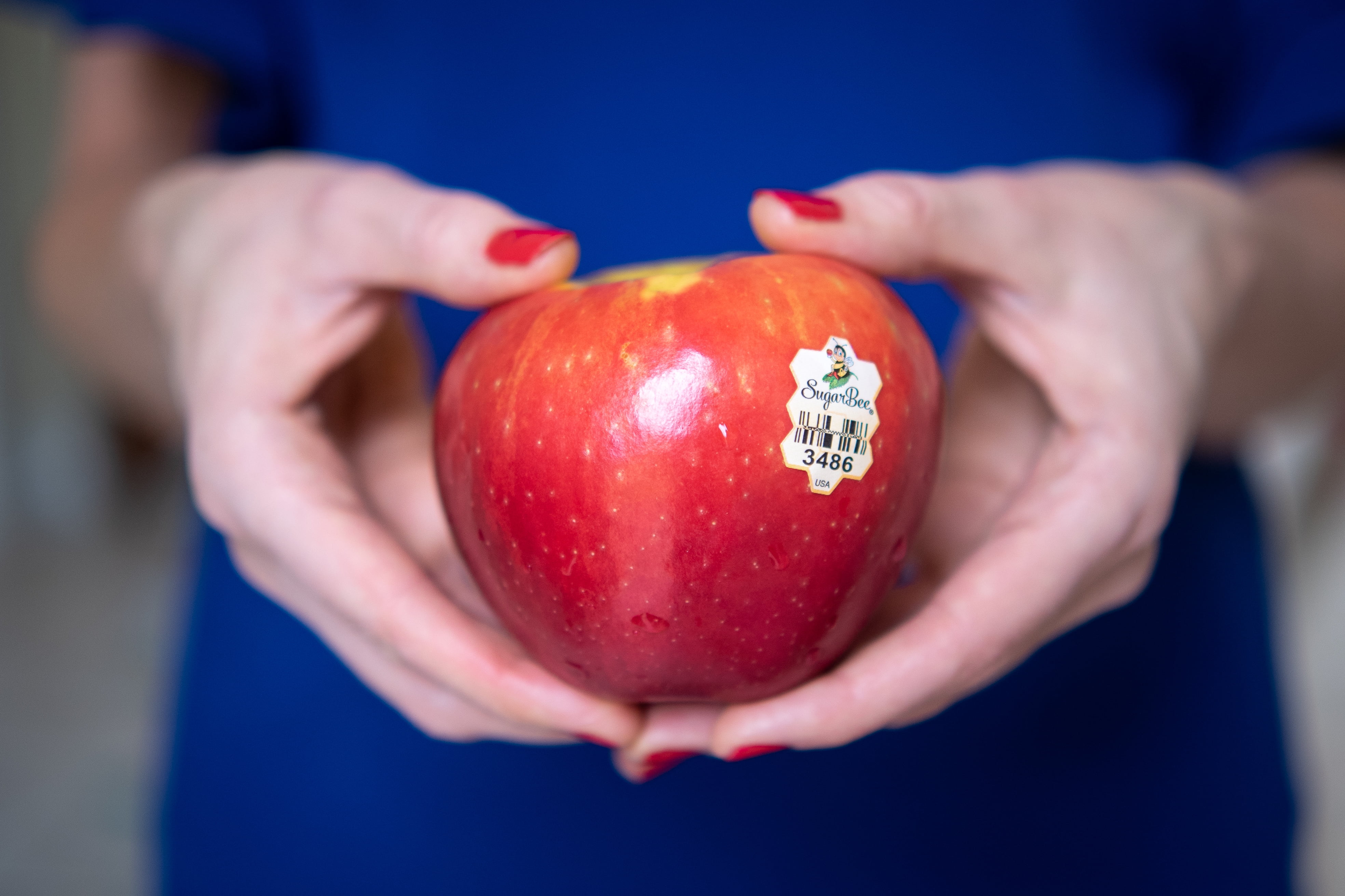 Fresh Sugarbee Apples, 2lb Bag