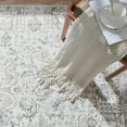 thumbnail image 3 of RUGKING Area Rug 8x10 Gray Multi Vintage Rug Flodable Thin Rug Retro Distressed Carpet Floral Print Boho Rug for Kitchen Bedroom Living Room Dining Room, 3 of 7