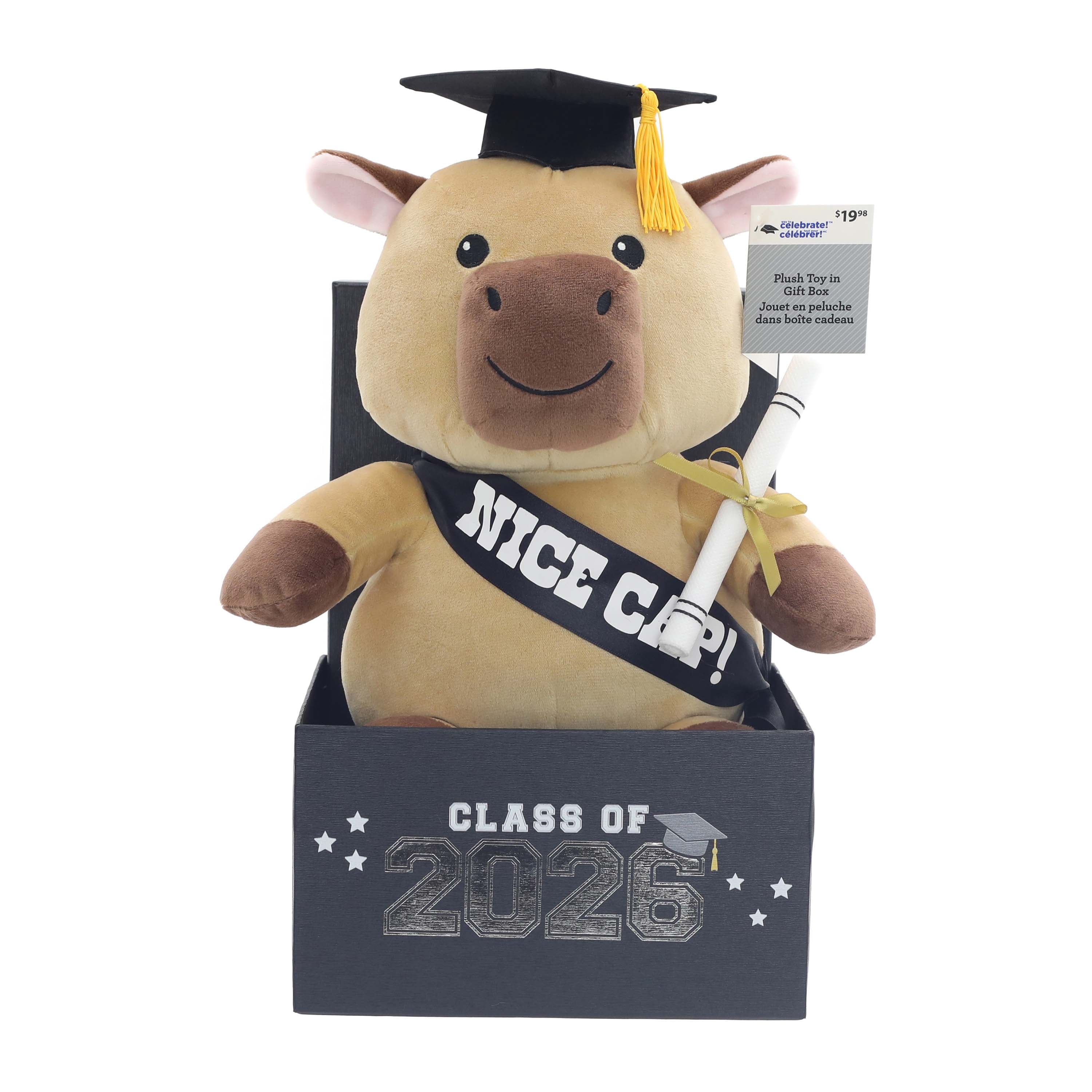 Class of 2026 Graduation Capybara Plush in Gift Box by Way to Celebrate