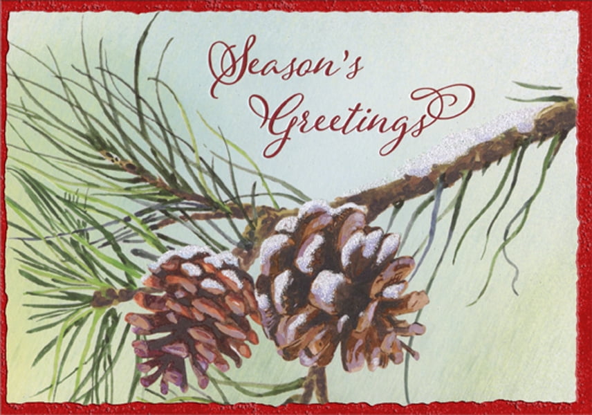 Designer Greetings Two Pine Cones on Branch Season's Greetings Box of