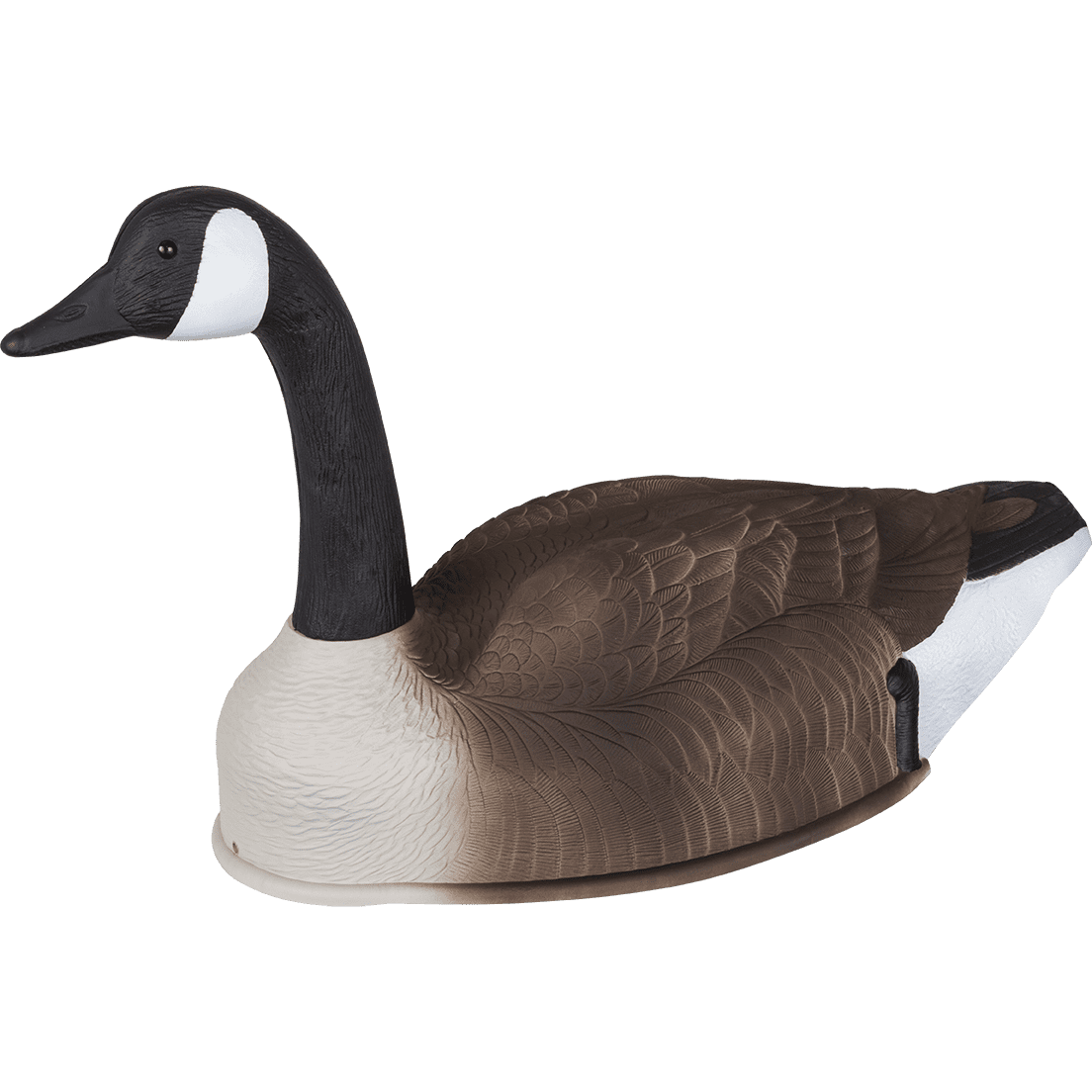 gooseページ AVIAVX9060__53433.1721150231.