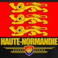 thumbnail image 3 of CafePress - Haute Normandie (Flag Women's V Neck Dark T Shirt - Women's V-Neck Dark T-Shirt, 3 of 4