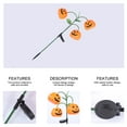 thumbnail image 6 of FONDOTIN Halloween Solar Light Saving For Homeowners 1Pcs, 6 of 8