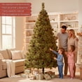 thumbnail image 4 of Arbol Navidad Escoces Jardimex Pino Navideño Punta Aguja Piñas 1.60m Agregar a favoritos, 4 of 9