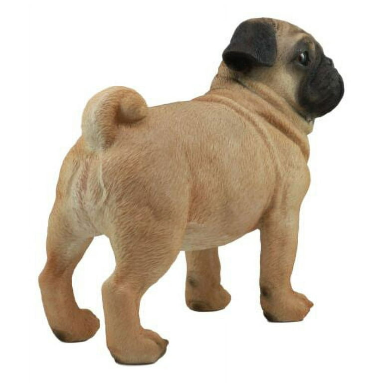Giant pug breed cheap