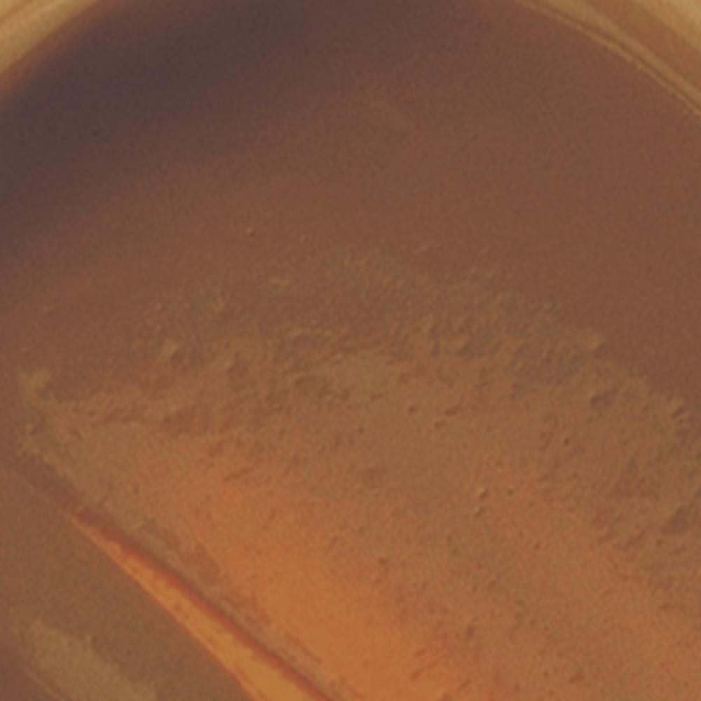 Milani Conceal + Perfect Longwear Concealer, Longwear concealer