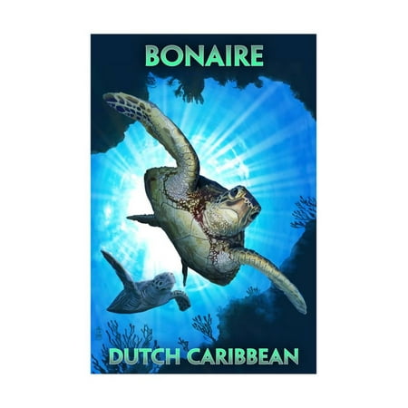 Bonaire, Dutch Caribbean - Sea Turtle Diving Print Wall Art By Lantern