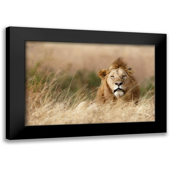 Khataw, Ali 14x11 Black Modern Framed Museum Art Print Titled - Handsome!