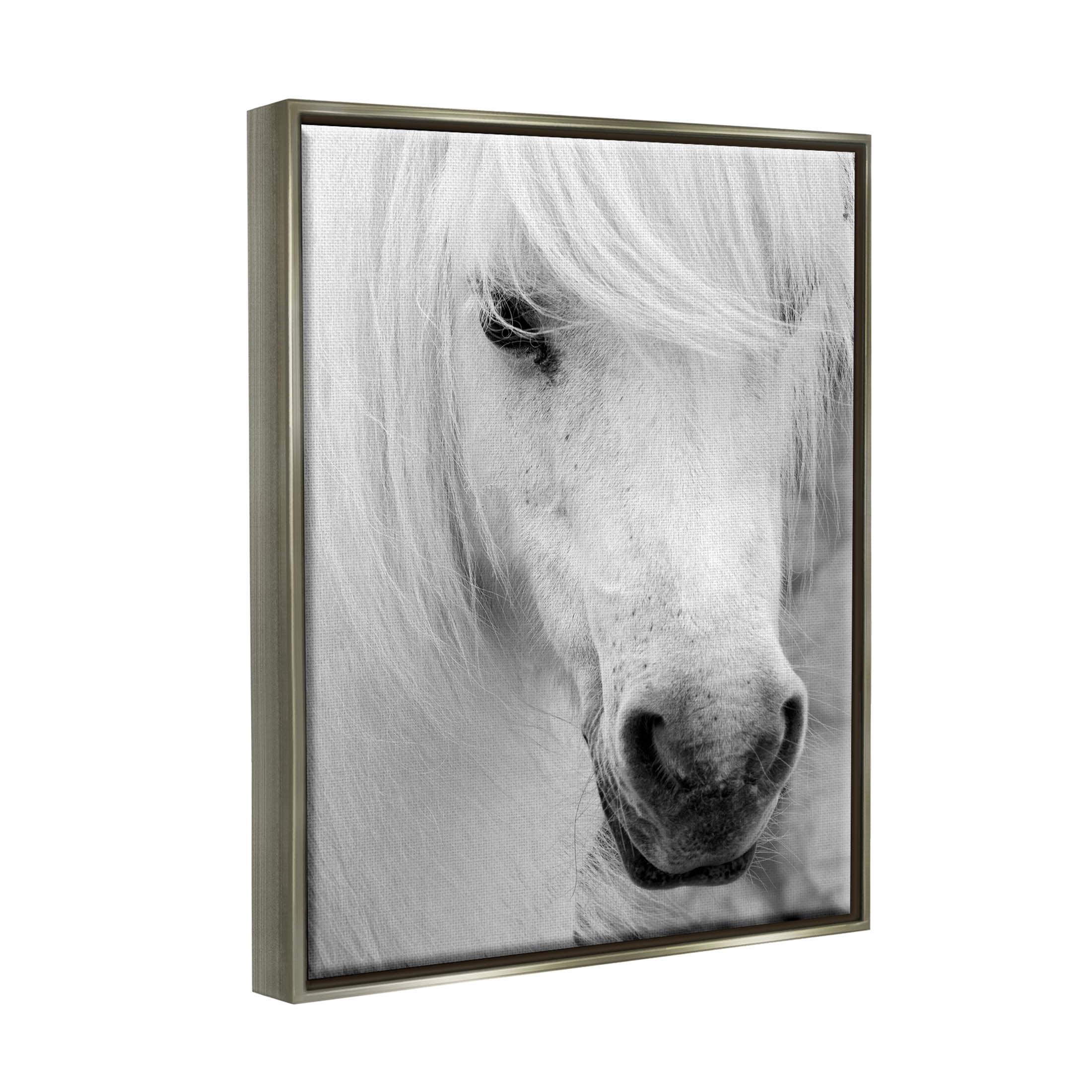 Elegant White Horse Stallion Animals & Insects Photograph Luster Gray Framed Art Print Wall Art