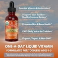 thumbnail image 5 of Gotas de vitamina C orgánicas para niños pequeños del USDA | Gotas líquidas de vitamina C orgánica para niños pequeños y bebés de 1 a 3 años | Apoya el sistema inmunológico saludable | Vegano | Sin OG, 5 of 5