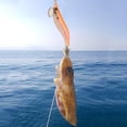 thumbnail image 5 of Cebo de pesca luminoso, señuelos de pesca de simulación con anzuelo de calamar vívido para pescar, 5 of 5