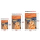 thumbnail image 2 of 1pc Screaming Cat With Fluid Sky Canvas Painting Posters, Funny Animal No Frame Printed Wall Art Pictures, Home & Room Decoration, 2 of 5
