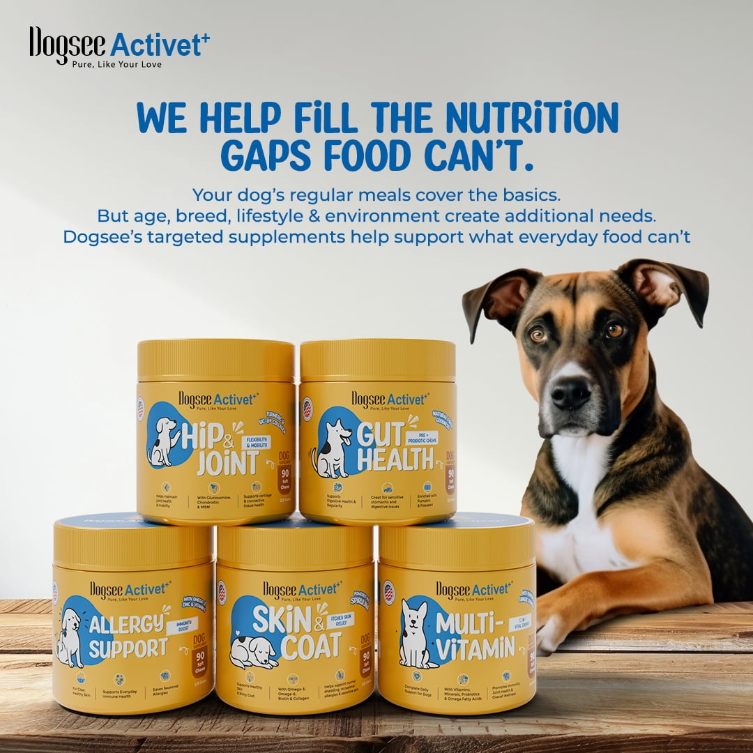 Dogsee Activet+ Dog Skin Coat Supplement Chews, with Omega 3, Omega 6, Biotin & Collagen, Itchy Skin & Shiny Coat Support, Chicken Flavor – 90 Chews