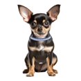 thumbnail image 2 of Mumup Rhinestone Dog Collars for Small Dogs, Pink Pu Leather Fancy Diamond Bling Cat Collar, Glitter Crystal Jeweled Girl Puppy Collars for Female Pet Dogs, 2 of 4