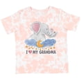 thumbnail image 3 of Inktastic I Love My Grandma Elephant Family Boys or Girls Toddler T-Shirt, 3 of 5