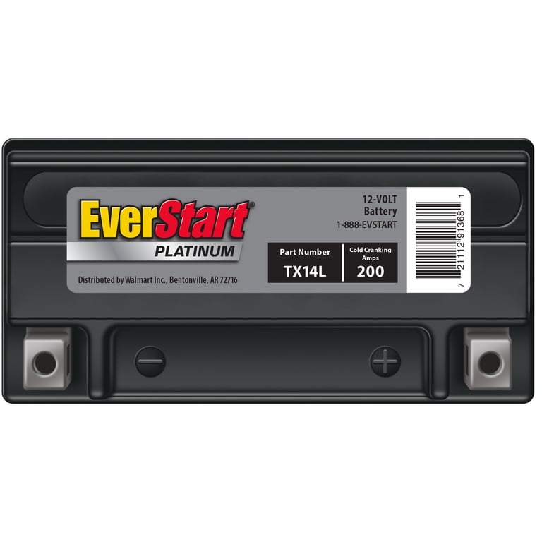 2 pack) EverStart Platinum AGM Power Sport Battery, Group Size
