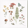 thumbnail image 3 of Great Art Now Forest Treasures by Lisa Audit 2 Piece Canvas Art Set Each 14"W x 14"H, 3 of 3