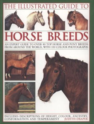 Pre-Owned The Illustrated Guide to Horse Breeds: A comprehensive visual ...