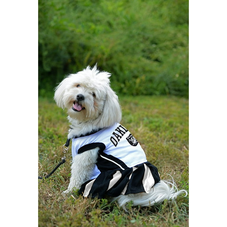 Pets First NFL Los Angeles Chargers Cheerleader Outfit, 3 Sizes Pet Dress  Available. Licensed Dog Outfit 
