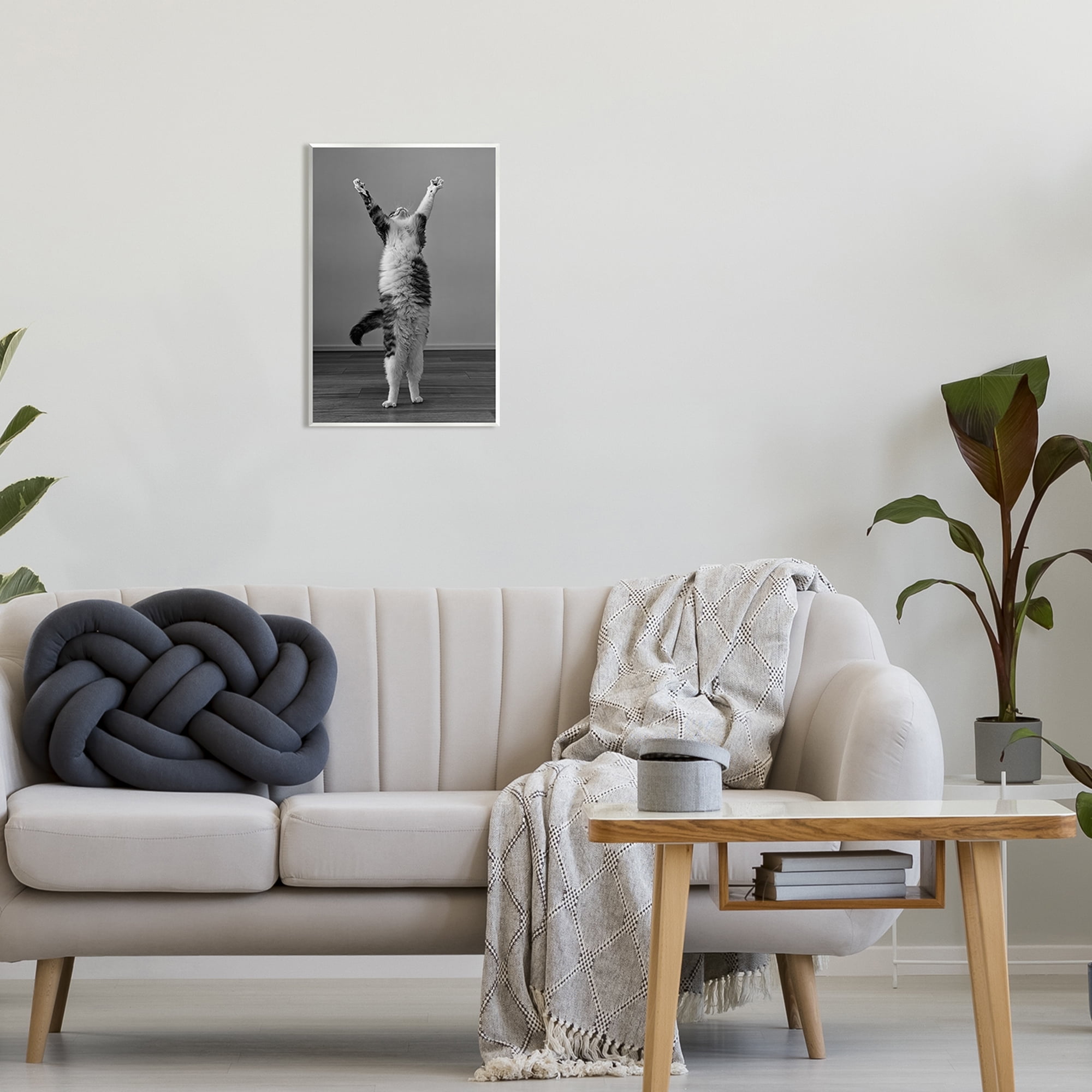 Stupell Industries Funny Cat Victory Pose Animals & Insects Photography Unframed Art Print Wall Art, 13 x 19
