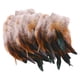 thumbnail image 4 of 50 plumas para manualidades, plumas de colores, accesorios para manualidades, plumas decorativas. Negro, 4 of 9