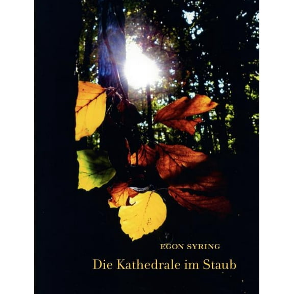 Die Kathedrale Im Staub