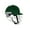 GREEN, variant on Shrey KOROYD STEEL Cricket Helmet
