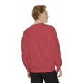thumbnail image 4 of Effete Feline Claw Marks Scratch Unisex Garment-Dyed Sweatshirt, 4 of 8