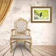 thumbnail image 3 of Lord, Fred 14x11 Gold Ornate Wood Framed with Double Matting Museum Art Print Titled - Costa Rica Green violet-ear hummingbird on limb, 3 of 4