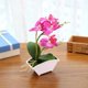 thumbnail image 1 of Planta de simulación Phalaenopsis bonsai simulación flor decoración del hogar simulación planta en maceta E Rojo Verde, 1 of 2