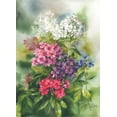 thumbnail image 2 of Besedina, Anastasiia 24x32 Black Ornate Wood Framed with Double Matting Museum Art Print Titled - Phlox in the Garden, 2 of 4