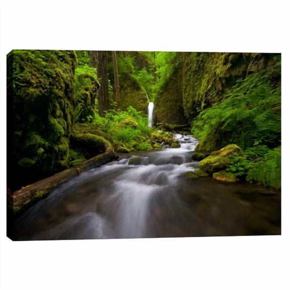 Cortesi Home ''Lushnes'' by Jesse Estes Photographic Print on Wrapped Canvas