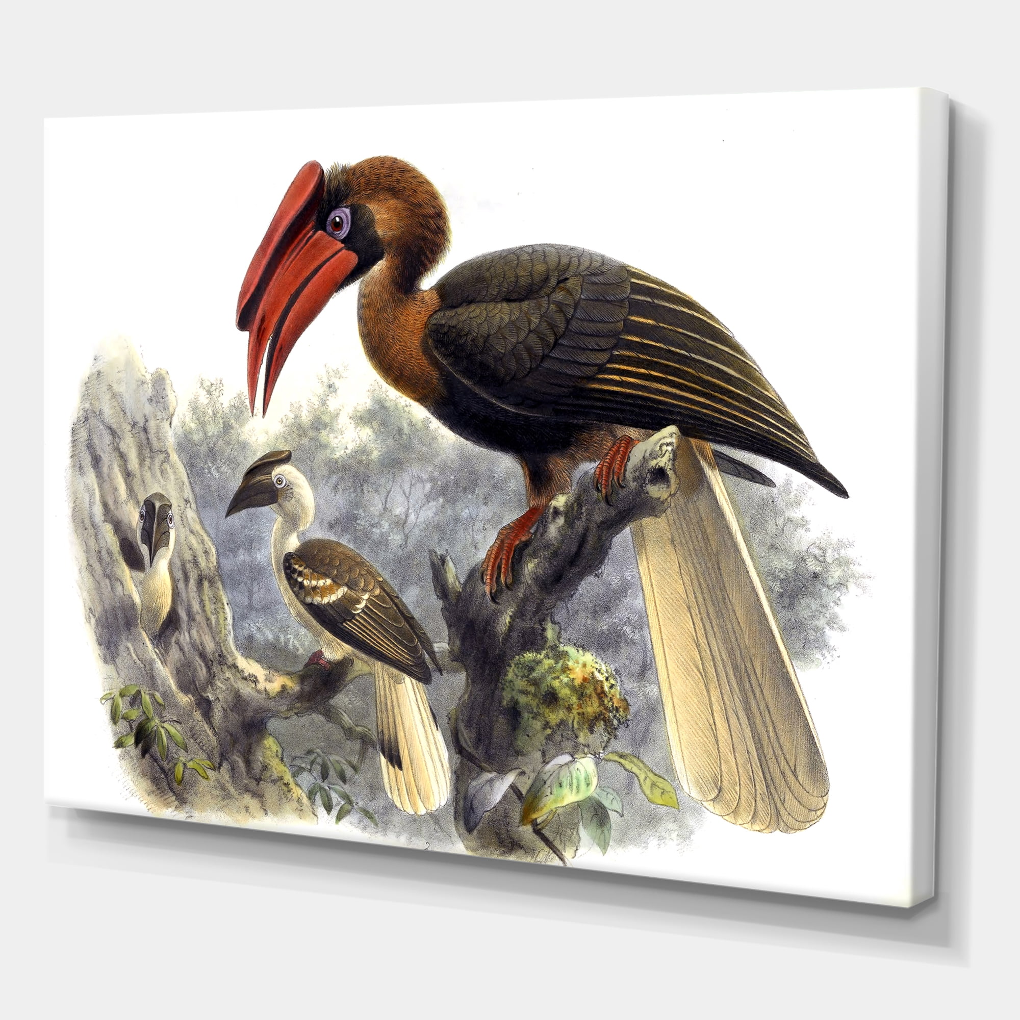 Designart ' Ancient Australian Birds XI ' Traditional Canvas Wall Art Print