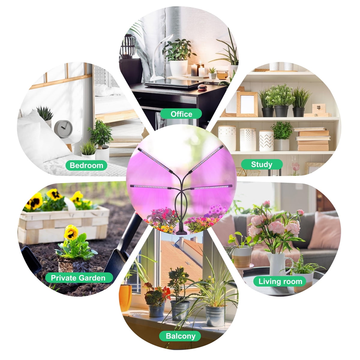 Kepooman 360°Grow Light, 9 Dimmable Levels and 3 Switch Modes with Red Blue Spectrum, Black Kepooman 360°Grow Light, 9 Dimmable Levels and 3 Switch Modes with Red Blue Spectrum, Black