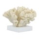 thumbnail image 1 of Resina, Decoración de mesa de coral de 6 "h, Marfil Sagebrook Home 16896, 1 of 2