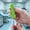 D, variant on ,Multi-Functional Bottle Opener with Glass Bottle Mouth Grinding Wheel, Hand Protection Tool