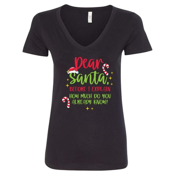Inktastic Christmas Dear, Santa Before I Explain How Much Do You Know? Women's V-Neck T-Shirt