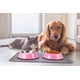 thumbnail image 2 of Cuencos para perros de acero inoxidable, comida y agua, antideslizantes, apilables, platos para cachorros para perros pequeños, medianos y grandes, rosa No. 3, 22 cm, 11-25 kg para perros pequeños y medianos ER, 2 of 5