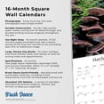 thumbnail image 5 of Magic Mushrooms 2024 Square Brush Dance (Calendar), 5 of 8