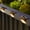 12, variant on NexTone Solar Deck Lights Outdoor 16 Pack, Solar Step Lights Waterproof Led Solar lights for Outdoor Stairs, Step , Fence, Yard, Patio, and Pathway(Warm White)