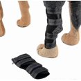 thumbnail image 5 of Dog Leg Braces (black) With Safety Reflective Straps Provide Front And Rear Leg Support For Dogs. For Joint Injuries, Wound Healing And Arthritis Prot, 5 of 5