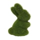 thumbnail image 1 of De Estatuas De Jardín De Conejito De Musgo, Adorno De Animal Artificial Ligero Y Duradero Para Armario Y Oficina Kearding HA043077-02, 1 of 6