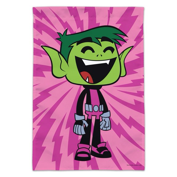 Teen Titans Go! Beast Boy Garden Yard Flag