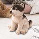 thumbnail image 1 of Figuras de animales de peluche, muñeco de peluche de cachorro, escultura de perro de peluche suave para dormitorio, coche, sofá, adorno para el hogar, 1 of 10