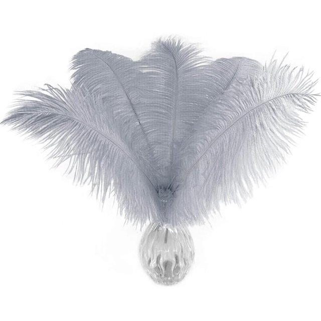 Piokio 20 plumas de avestruz rojas de 10 a 12 pulgadas (25 a 30 cm) a granel para decoraciones navideñas de bricolaje, centros de mesa de bodas, decoraciones Gatsby